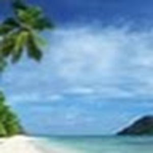 Meet your Posher, Elsie